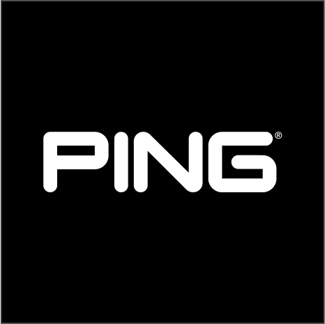 logo PING